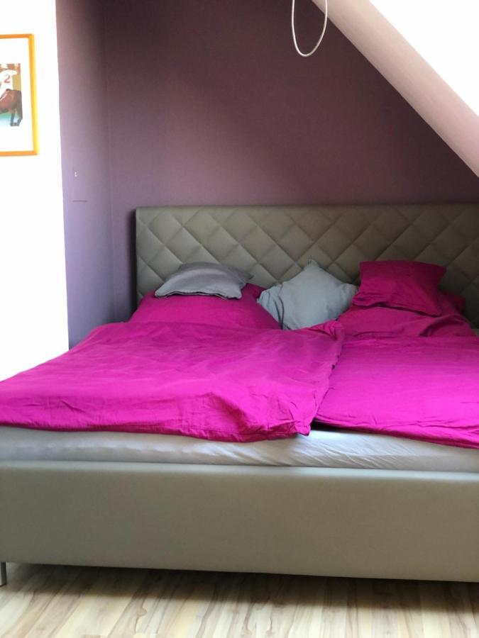 Einzel-Apartment Duesseldorf Oberkassel Zewnętrze zdjęcie
